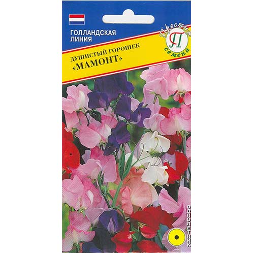 Горошек душистый Мамонт, смесь окрасок Престиж изображение 1 артикул 81343