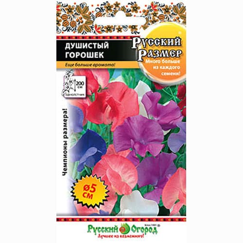 Горошек душистый Русский Размер, смесь окрасок Русский огород НК изображение 1 артикул 69938