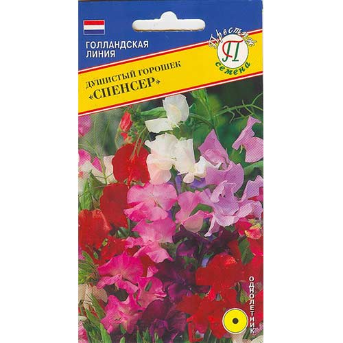 Горошек душистый Спенсер, смесь окрасок Престиж изображение 1 артикул 81345