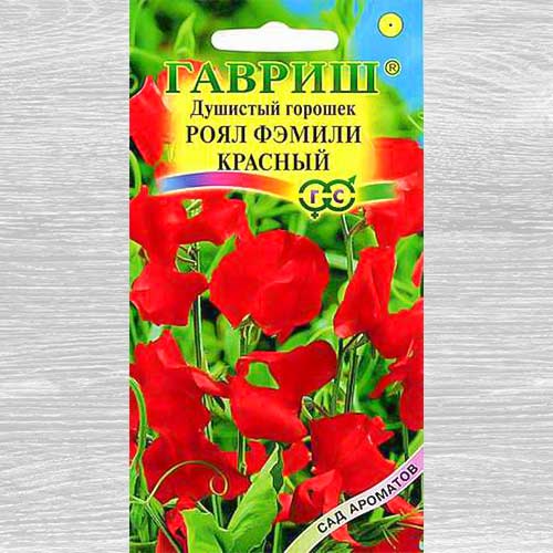Горошек душистый Роял Фэмили красный Гавриш артикул фото 1 Горошек душистый Роял Фэмили красный Гавриш изображение 1 артикул 82374