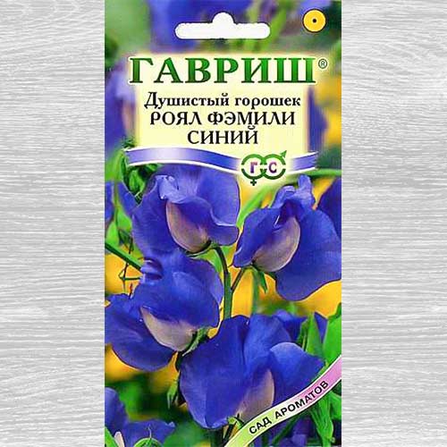 Душистый горошок Роял Фэмили синий артикул фото 1 Душистый горошок Роял Фэмили синий изображение 1 артикул 82375