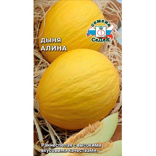 Дыня Алина Седек изображение 1 артикул 93312