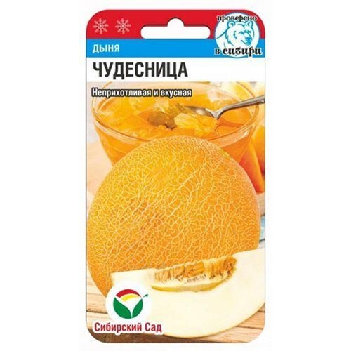 Дыня Чудесница Сибирский сад изображение 1 артикул 94334