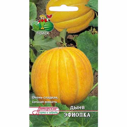 Дыня Эфиопка Поиск артикул фото 1 Дыня Эфиопка Поиск изображение 1 артикул 81467