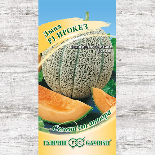 Дыня Ирокез F1 Гавриш артикул фото 1 Дыня Ирокез F1 Гавриш изображение 1 артикул 82156