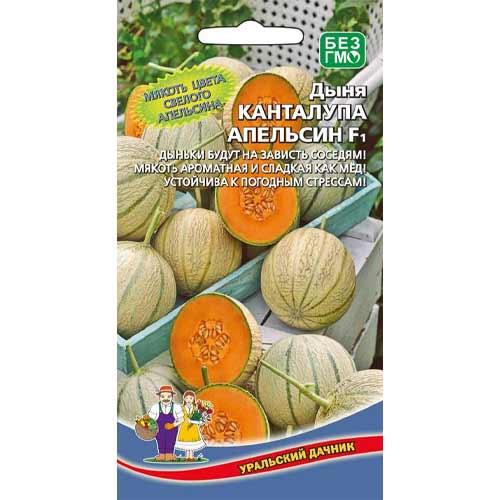 Дыня Канталупа апельсин F1 Уральский дачник изображение 1 артикул 98186