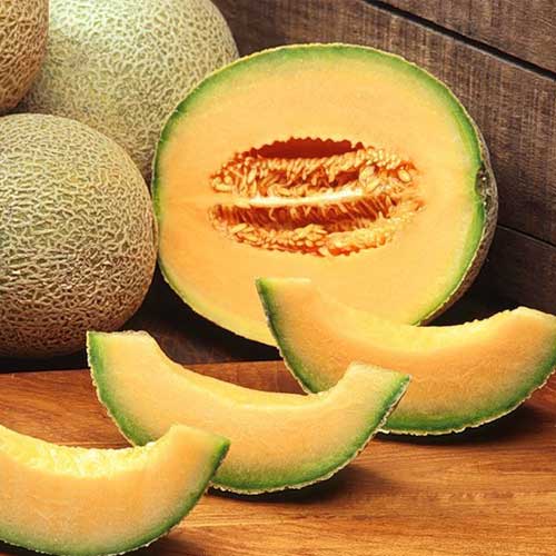 Дыня Канталупа желтая F1 Русский огород НК изображение 1 артикул 82763