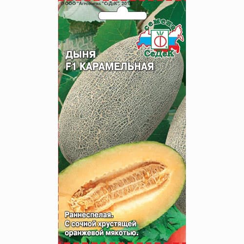 Дыня Карамельная F1 Седек изображение 1 артикул 82484