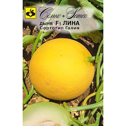 Дыня Лина F1 Семко изображение 1 артикул 82638