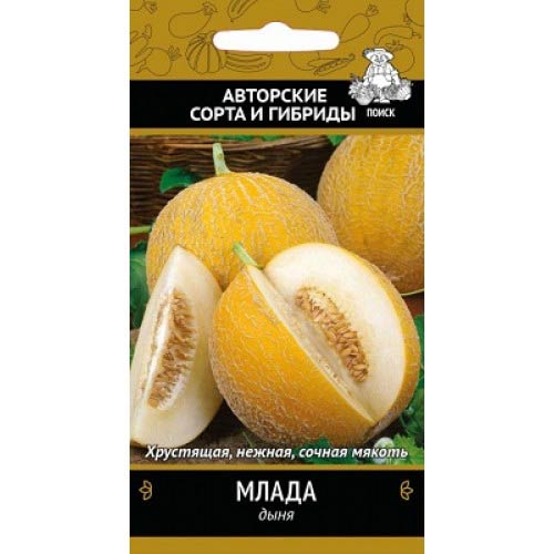 Дыня Млада Поиск артикул фото 1 Дыня Млада Поиск изображение 1 артикул 81855