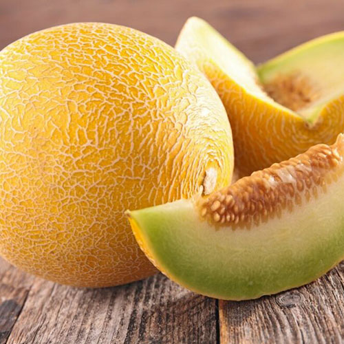 Дыня Сливочная карамель Уральский дачник артикул фото 1 Дыня Сливочная карамель Уральский дачник изображение 1 артикул 83049