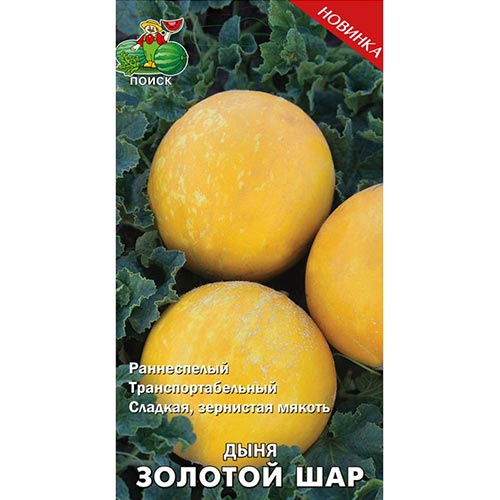Дыня Золотой шар Поиск изображение 1 артикул 92730