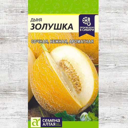 Дыня Золушка артикул фото 1 Дыня Золушка изображение 1 артикул 81465