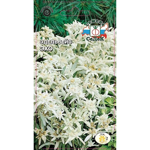 Эдельвейс Эхо Седек изображение 1 артикул 94017