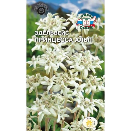 Эдельвейс Принцесса Альп Седек изображение 1 артикул 94016