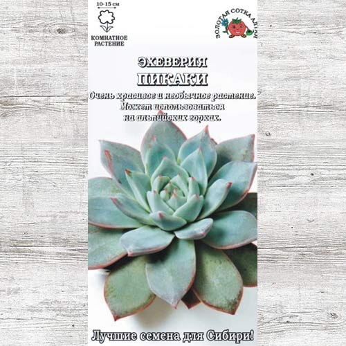 Эхеверия Пикаки изображение 1 артикул 83716