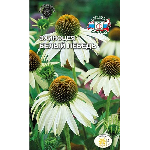 Эхинацея Белый лебедь Седек изображение 1 артикул 94022