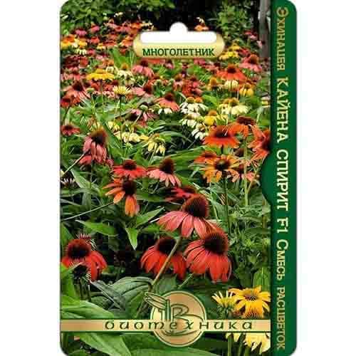 Эхинацея Кайена Спирит F1, смесь окрасок Биотехника изображение 1 артикул 91615