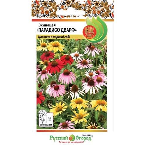 Эхинацея Парадисо Дварф, смесь окрасок НК артикул фото 1 Эхинацея Парадисо Дварф, смесь окрасок НК изображение 1 артикул 92658
