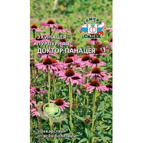 Эхинацея пурпурная Панацея Седек изображение 1 артикул 93610