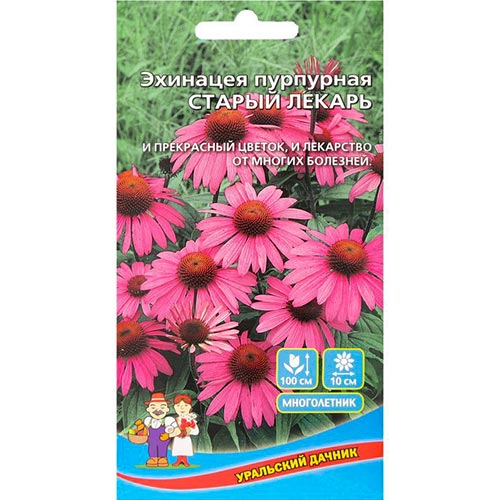 Эхинацея пурпурная Старый лекарь Уральский дачник изображение 1 артикул 94754