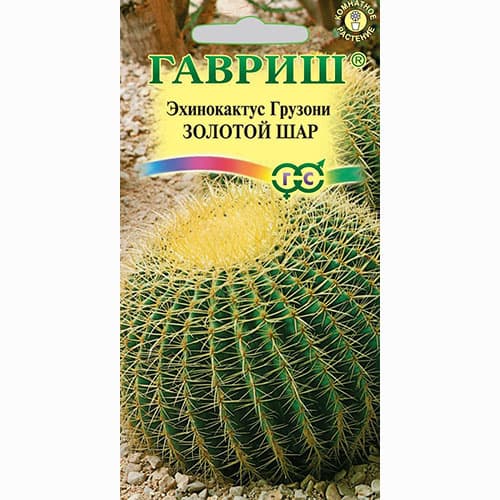 Эхинокактус (кактус) Грузона Золотой шар Гавриш изображение 1 артикул 74971