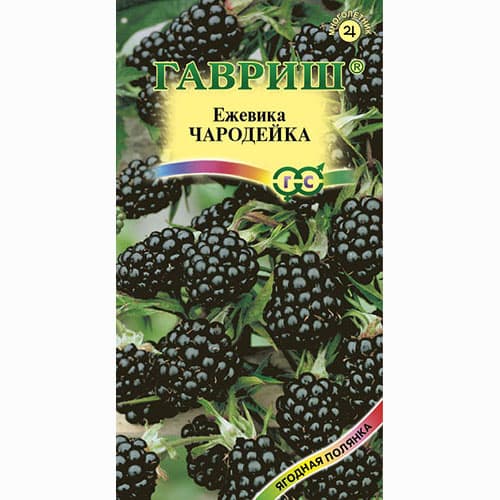 Ежевика Чародейка Гавриш артикул фото 1 Ежевика Чародейка Гавриш изображение 1 артикул 65229