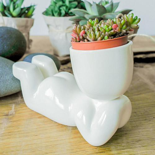 Экочеловек Мечтатель изображение 4 артикул 74861