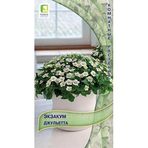 Экзакум Джульетта Поиск изображение 1 артикул 93173