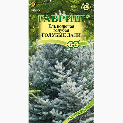 Ель (колючая) голубая Голубые дали Гавриш изображение 1 артикул 97682