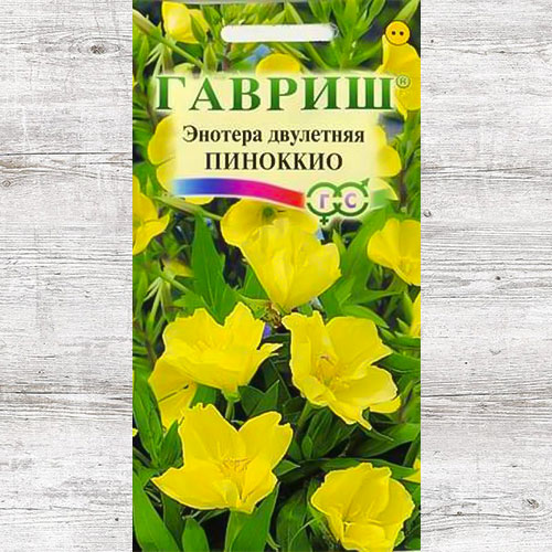 Энотера Пиноккио Гавриш изображение 1 артикул 73711