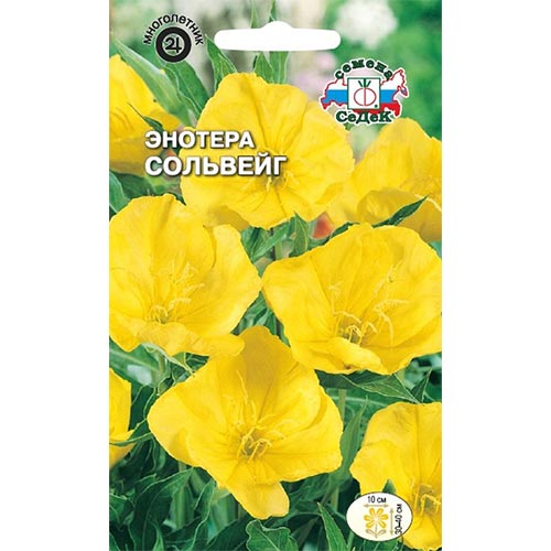 Энотера Сольвейг Седек изображение 1 артикул 94020