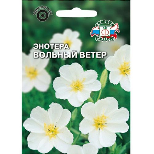 Энотера Вольный ветер Седек изображение 1 артикул 94019