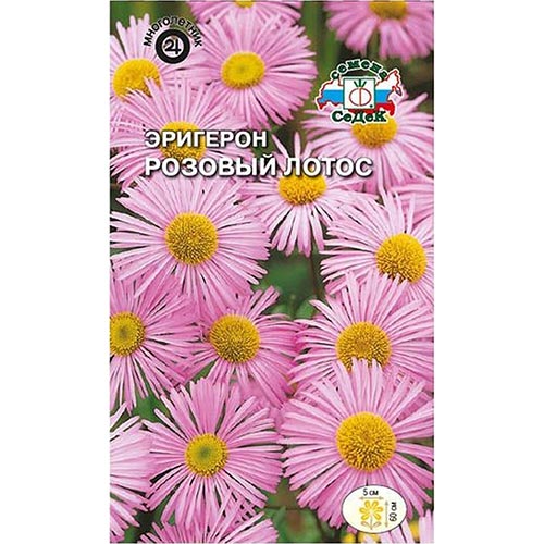 Эригерон Седек изображение 1 артикул 94021