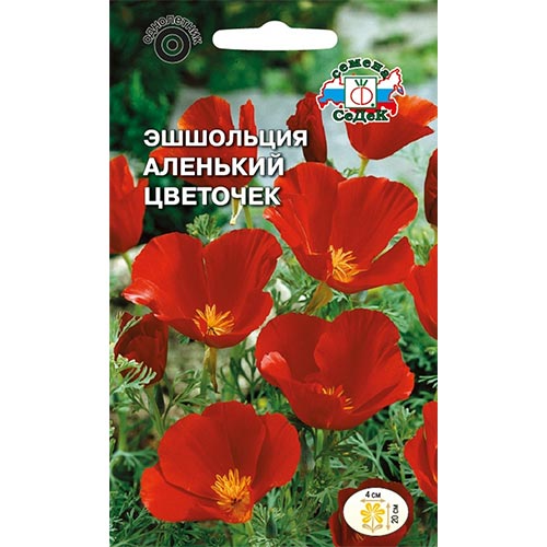 Эшшольция Аленький цветочек Седек изображение 1 артикул 94023