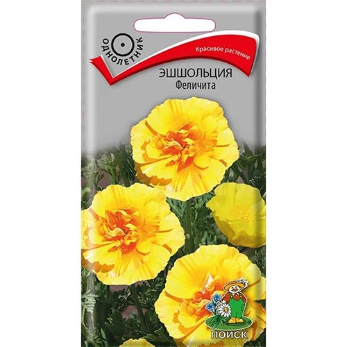 Эшшольция Феличита Поиск изображение 1 артикул 93180