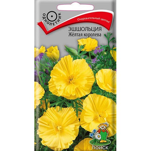 Эшшольция Желтая Королева Поиск изображение 1 артикул 93177