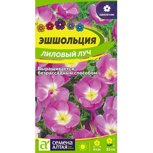 Эшшольция Лиловый луч Семена Алтая артикул фото 1 Эшшольция Лиловый луч Семена Алтая изображение 1 артикул 84785
