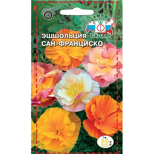 Эшшольция Сан-Франциско Седек изображение 1 артикул 94026