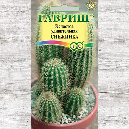 Эспостоа Снежинка Гавриш изображение 1 артикул 74963