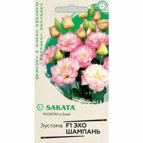 Эустома Эхо Шампань F1 Гавриш изображение 1 артикул 40607