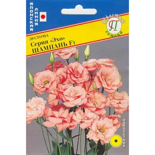 Эустома Эхо Шампань F1 Престиж изображение 1 артикул 66153
