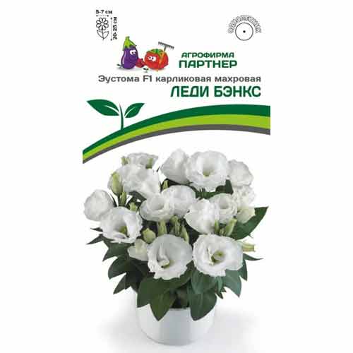 Эустома карликовая махровая Леди Бэнкс F1 Партнер изображение 1 артикул 97253