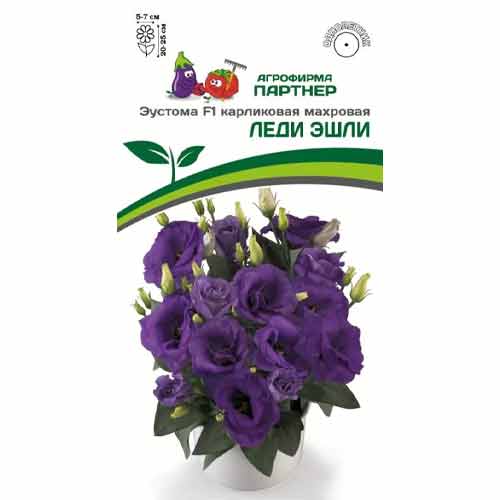 Эустома карликовая махровая Леди Эшли F1 Партнер изображение 1 артикул 97256