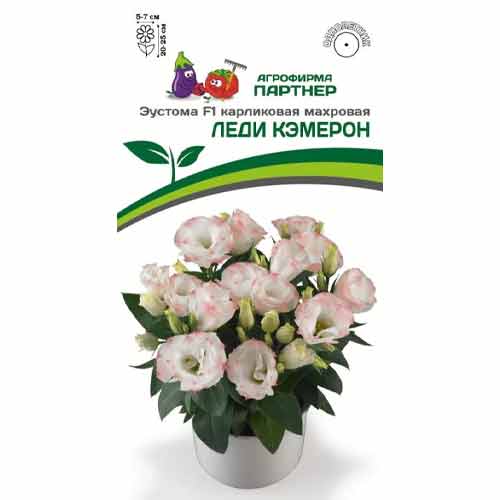 Эустома карликовая махровая Леди Кэмерон F1 Партнер изображение 1 артикул 97254