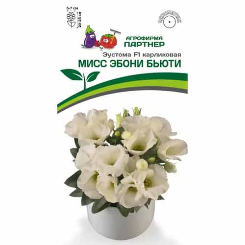 Эустома карликовая Мисс Эбони Бьютти F1 Партнер изображение 1 артикул 97262