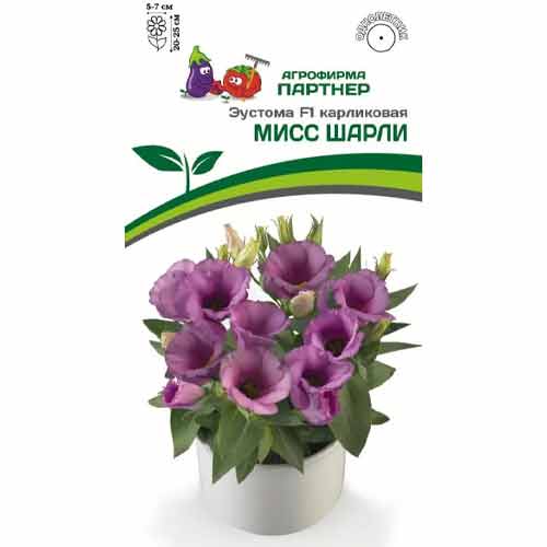 Эустома карликовая Мисс Шарли F1 Партнер изображение 1 артикул 97261