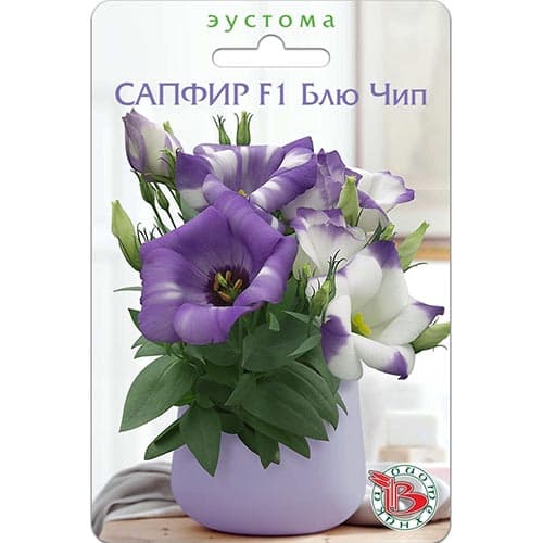 Эустома (лизиантус) горшечная Сапфир Блю Чип F1 Биотехника изображение 1 артикул 91612