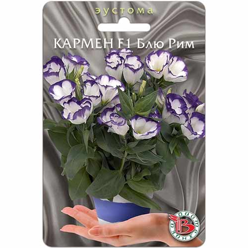 Эустома горшечная Кармен Блю Рим F1 Биотехника изображение 1 артикул 84683