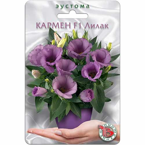 Эустома (лизиантус) Кармен Лилак F1 Биотехника изображение 1 артикул 84684